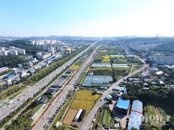 플랫폼 시티 사진