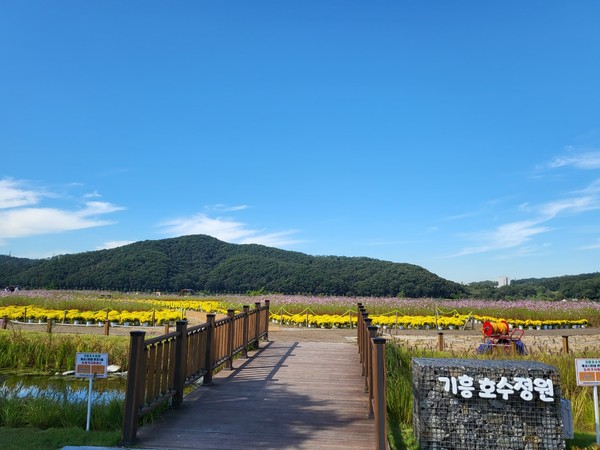 용인 기흥호수정원.