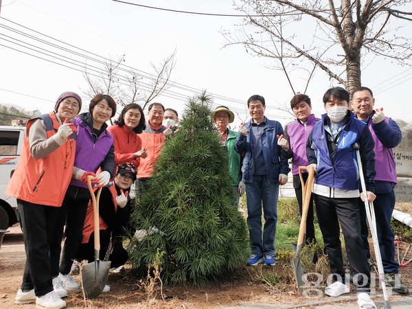 기흥동 주민들이 기흥동 행정복지센터 앞에 금송을 기념 식수했다. /사진=용인시