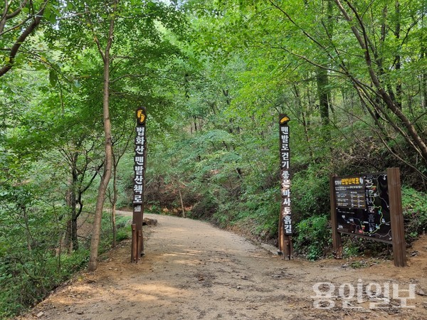용인시가 기흥구 마북동 법화산에 조성한 맨발 산책로. /사진=용인시