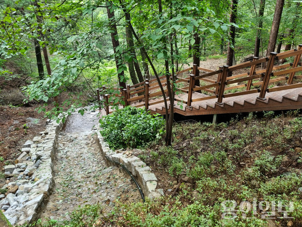 용인시가 기흥구 마북동 법화산에 조성한 맨발 산책로. /사진=용인시