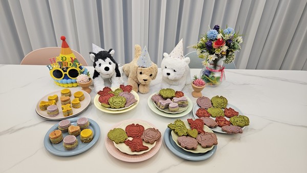 반려동물 수제간식을 만들어 판매하는 더 건강하개가 21일부터 유기견을 위한 펫푸드 기부 프로그램 운영을 시작한다. 사진은 반려동물 수제간식.