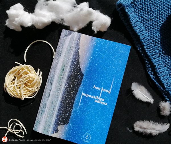 『작별하지 않는다』 의 프랑스어 판『impossibles adieus』 ⓒ WordPress.com