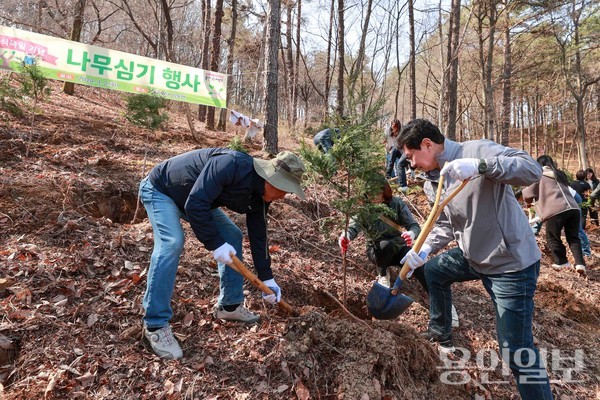 이상일 용인특례시장이 2일 한국외대 글로벌캠퍼스 입구 주차장 인근 임도변에서 열린 나무심기 행사에서 편백나무를 심고 있다. /사진=용인시