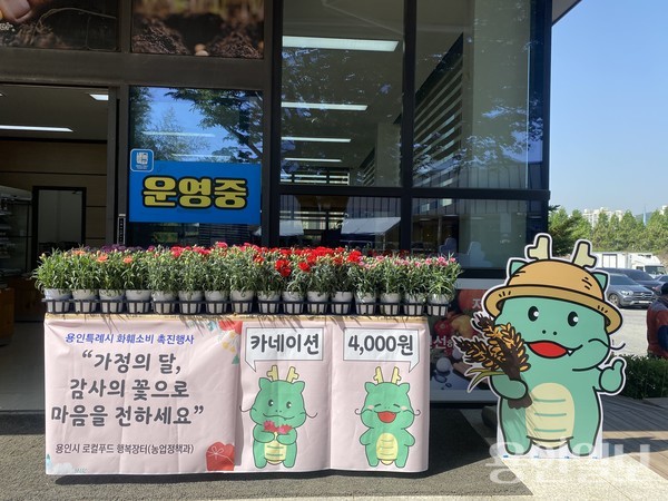 용인특례시가 5월 7일까지 용인시 로컬푸드 행복장터에서 지역에서 생산된 카네이션을 저렴하게 판매한다. /사진=용인시