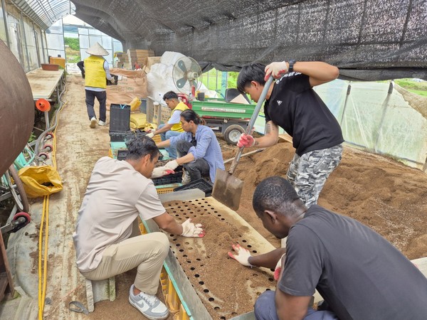 용인 외국인주민이 묘목농가에 방문,  일손돕기 현장 모습 /사진=용인시외국인복지센터