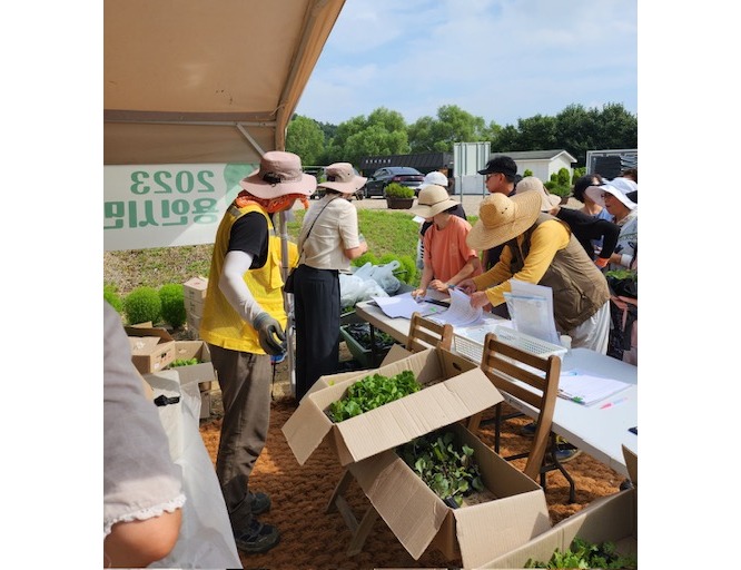 용인시민농장 텃밭 모종 나눔 행사 모습