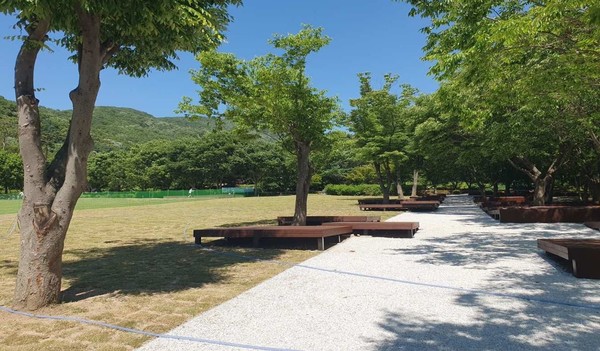 용인자연휴양림 잔디광장 정비 완료한 모습