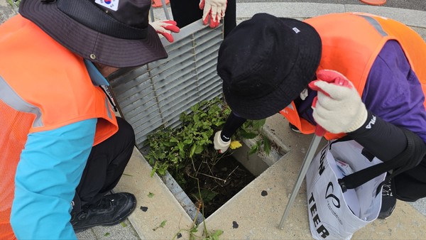 용인시자원봉사자 23명이 7월 24일 처인구 유방동 방축지구 일대에서 빗물받이 정화활동을 펼쳤다. /사진=용인시자원봉사센터