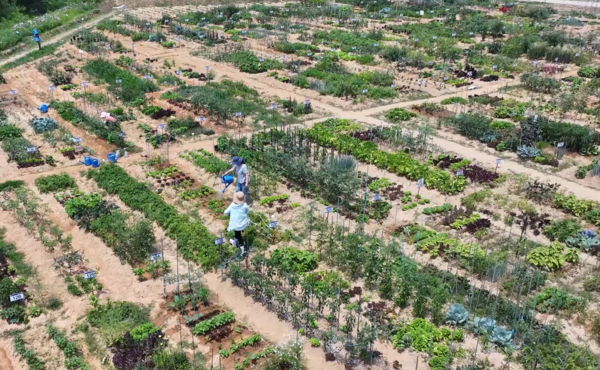 용인특례시 공세동 용인시민농장 전경