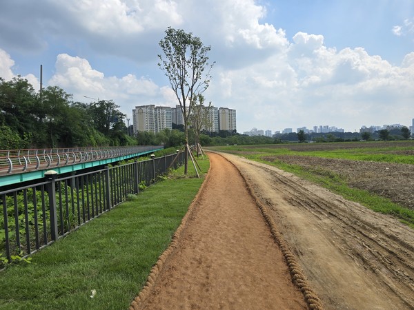 기흥호수공원에 조성된 맨발길