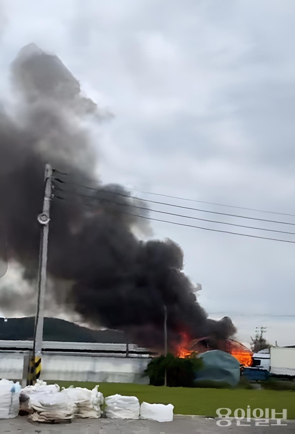 비닐하우스 화재 현장 /사진=경기도소방재난본부제공