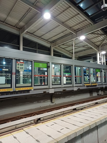 용인특례시는 용인경전철 이용객의 안전을 위해 승강장 안전문 가동문 이탈방지 가이드 슈 보강공사를 마쳤다.